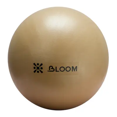 картинка Мяч LiveUp LB7000 для пилатеса 30 см 