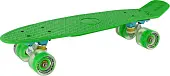 Мини-круизер RGX PNB-01GW (22") зеленый со светящимися колесами от магазина Супер Спорт